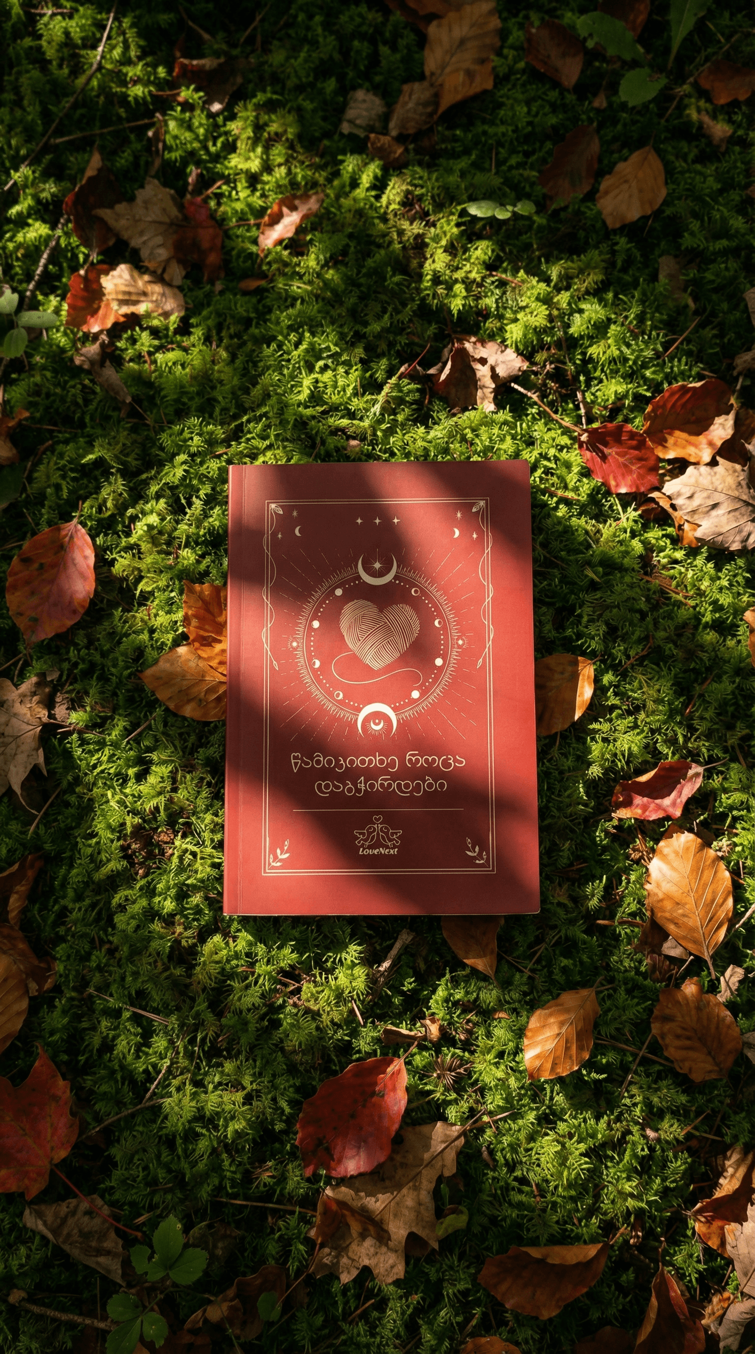 წამიკითხე როცა დაგჭირდები - წიგნი